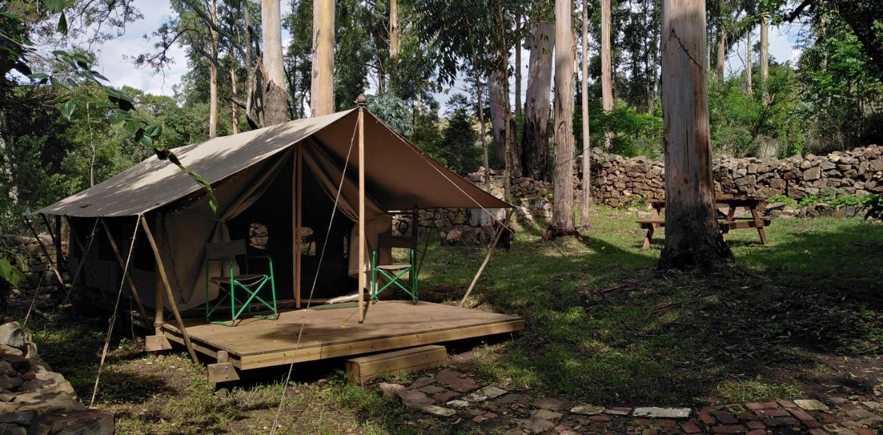 Villa Tegwaan Country Getaway Waterval Boven Esterno foto