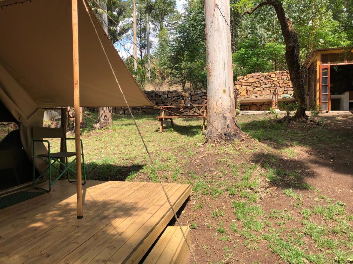 Villa Tegwaan Country Getaway Waterval Boven Esterno foto
